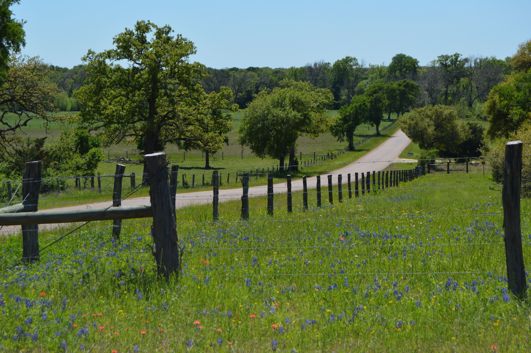 Living in Round Top: What It's Actually Like Year-Round