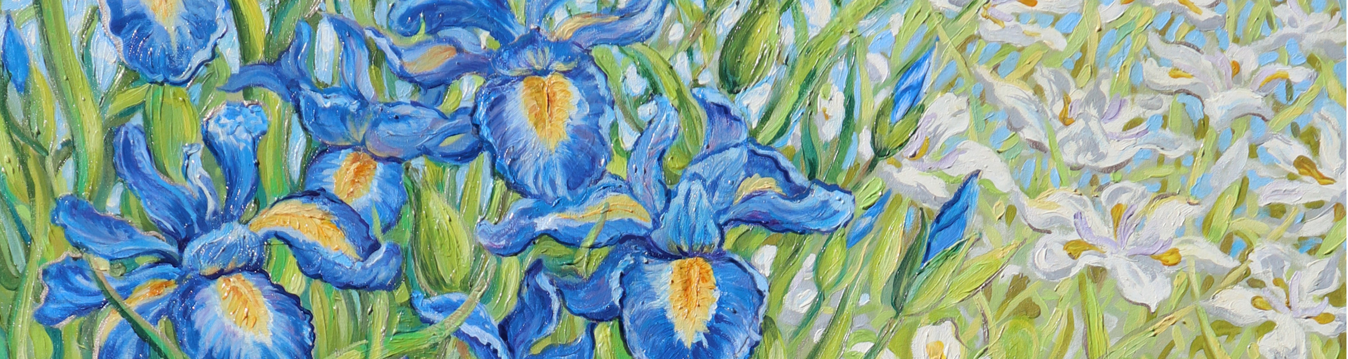 Irises