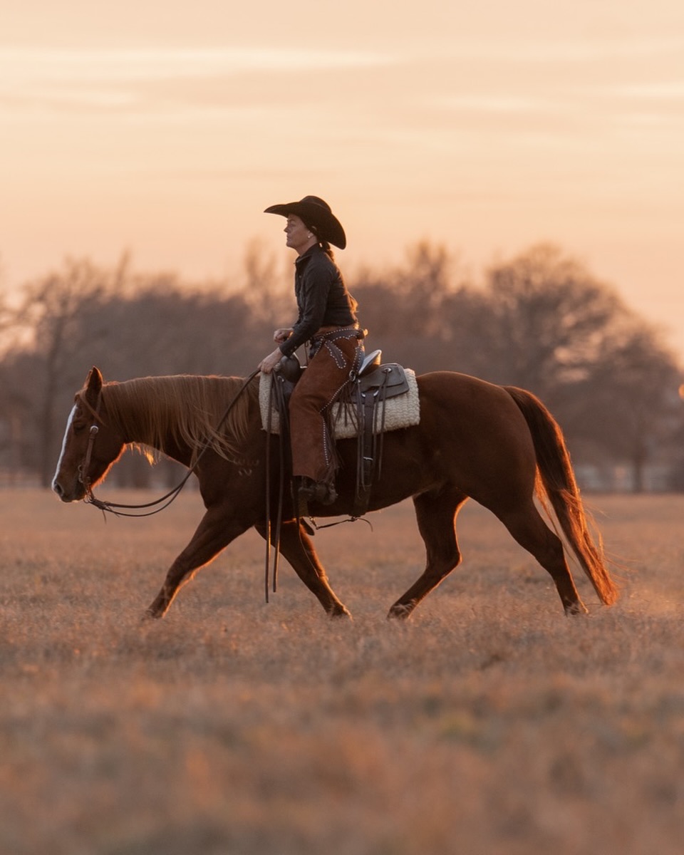 Hollow Bone / The Saddle Club